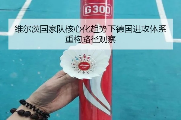 img_1779747971397_2753_1_312.jpg