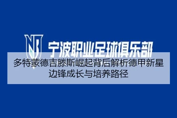 多特蒙德吉滕斯崛起背后解析德甲新星边锋成长与培养路径